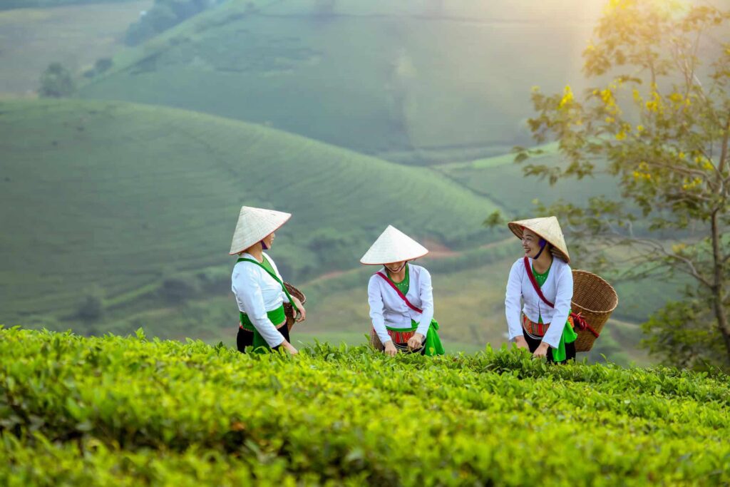 Vietnam